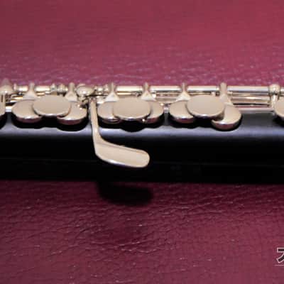 TAKEZAWA 205 EVR Wooden Piccolo image 8