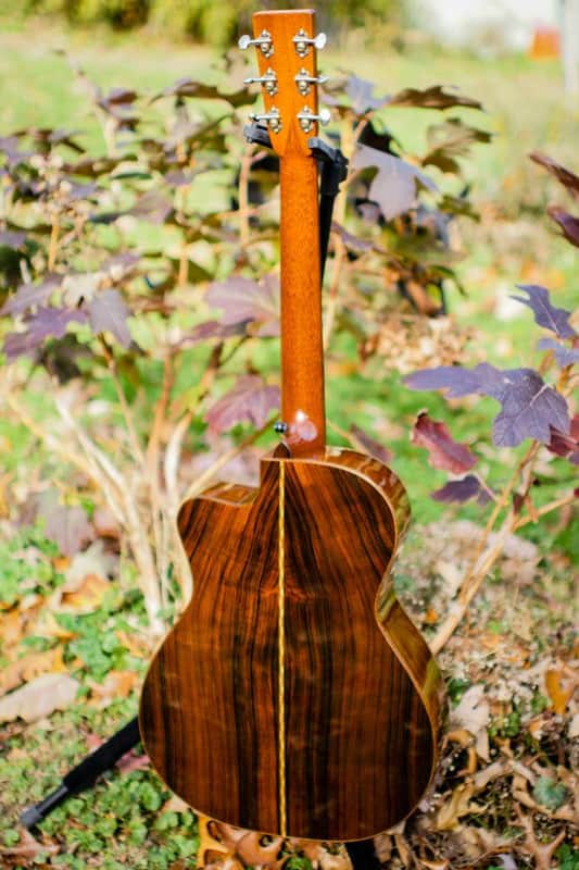 Schoenberg OMC soloist ES-15 by B. Sexauer 2006 Brazilian German image 1