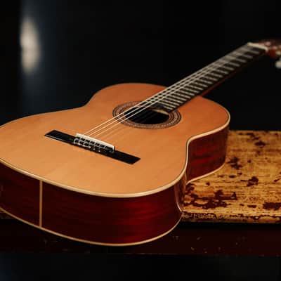 Ortega R200SN Traditional Series Cedar Top Mahogany Neck Nylon 6-String Classical Acoustic Guitar w/Gig Bag image 10