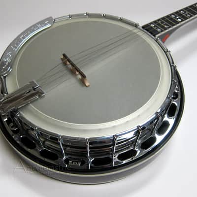 Gold Tone Irish Tenor Banjo - Vintage Brown image 2
