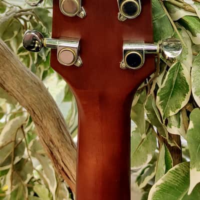 Olympia by Tacoma OD-2 Dreadnought Acoustic Guitar 2000's - Natural image 10