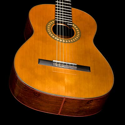 Lukas Sedlacek lattice classical guitar #92 image 11