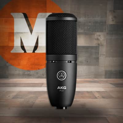 AKG P120 Large-Diaphragm Condenser Microphone (P120-U) image 1