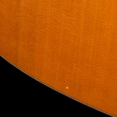 Classical guitar Manuel Raimundo 180 (2020) image 11
