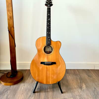 PRS SE Alex Lifeson Signature Thinline | Reverb