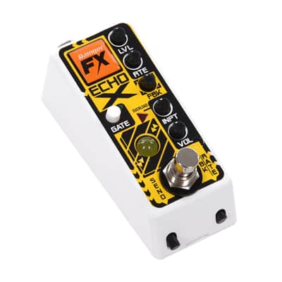 Rainger FX Echo-X Gated Delay Pedal w/IGOR image 2
