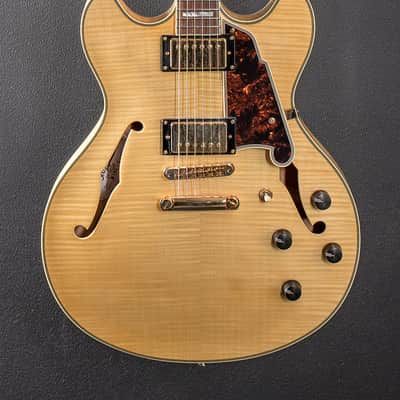D'Angelico Excel EX DCSP '18 image 2