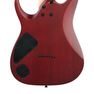 Ibanez RGA742FM Electric Guitar Trans Gray Flat image 6