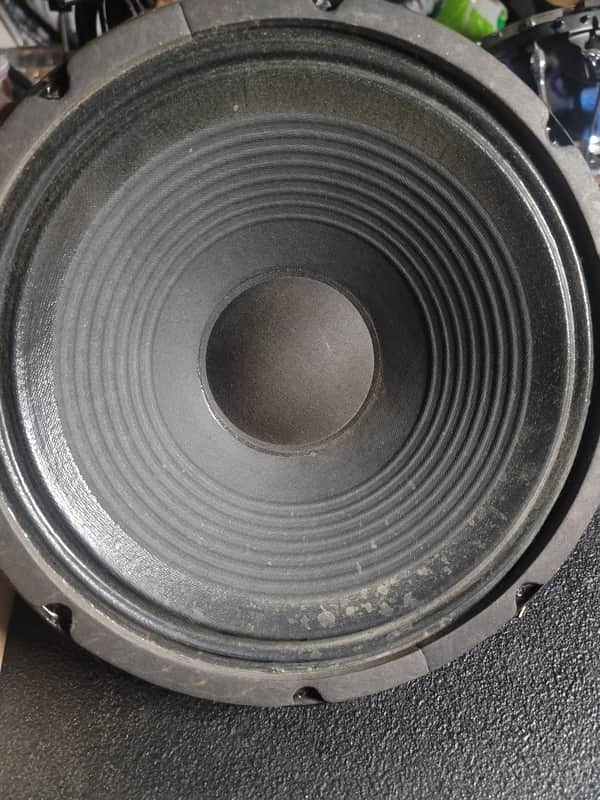 Randall Jaguar res-100 1980s 12 inch speakers | Reverb