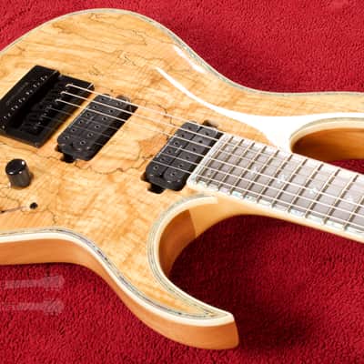 B.C. Rich Shredzilla Prophecy Archtop with Evertune Spalted Maple image 7