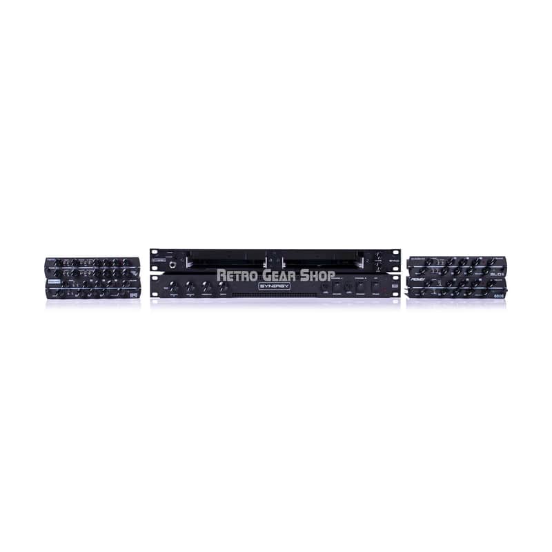 Synergy Bundle SYN-2 SYN-5050 Killer Kali Friedman BE-DLX Peavey 6505 Soldano SLO II Preamp Modules Rackmount Tube Guitar Amp image 1