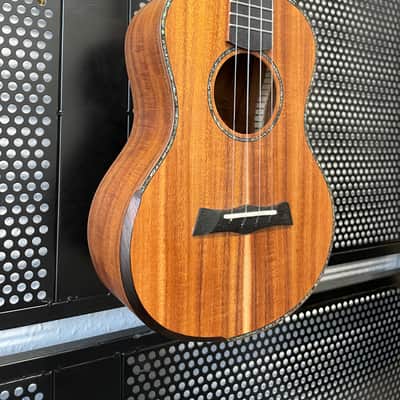 Snail SR05TE 2026 - Natural Matt Workshop Number 208 image 6