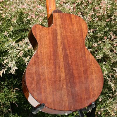 Weller PICKER 00 AUDITORIUM 2018 - HAWAIIAN KOA BODY image 4