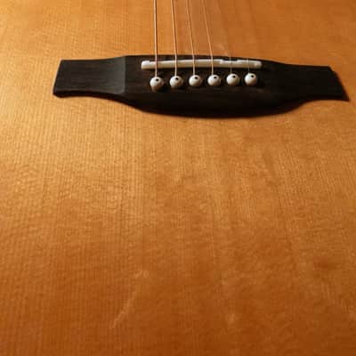 PRS SE A60E Angelus + Hard Case image 8