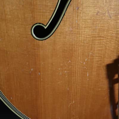 1945 D'Angelico Excel Acoustic Archtop - Natural - OHSC - Demo Video image 10