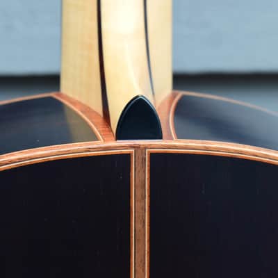Lowden F50 African Blackwood & Sinker Redwood F-50 image 10