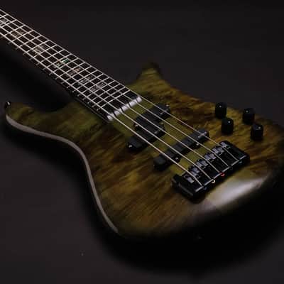 Spector Euro 5 CST 2026 - Haunted Moss Gloss image 1
