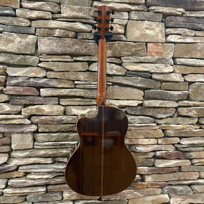 Linda Manzer Sitar Acoustic 1997 w/ Hardshell Case image 7