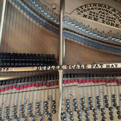 Steinway&Sons B 1896 - Ebony Satin image 20