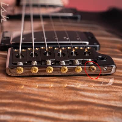 2024 PRS Private Stock Custom 22 Semi-Hollow image 6