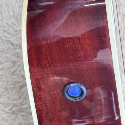 TAGIMA SIERRENA XII EQ NT ACOU-ELEC 12 STRING GUITAR NATURAL GLOSS - B Stock image 10