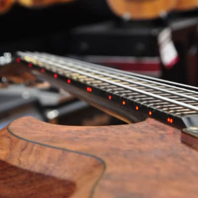 Warwick Custom Shop Jack Bruce Cream Reunion Bubinga image 23