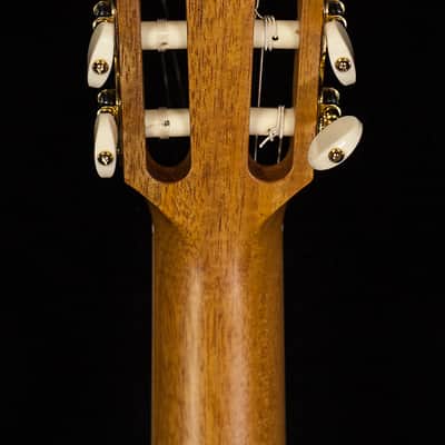 Taylor 812c Nylon (039) image 8