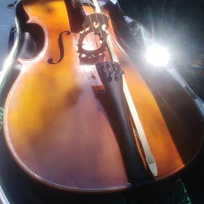 4/4 cello Frank denti 2002 Maple brown image 3