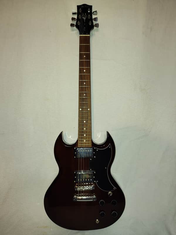 Jay Turser JT50 Set Neck Very Solid Guitar image 1