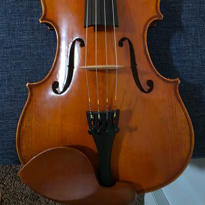 Andreas Eastman Series+ VA405 image 9