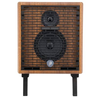 Prodipe Natural 5 V2 Walnut Wood Acoustic Amp image 4