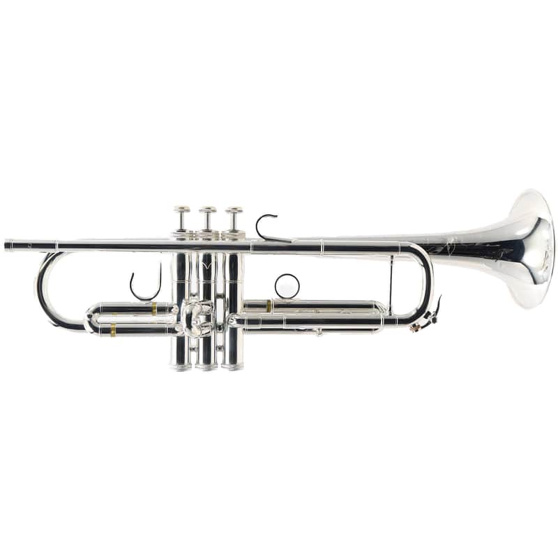 S.E. Shires Q10RS