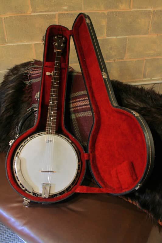 Vintage 1980 OME Single X 5-String Resonator Banjo — Excellent vintage condition, Original, Pro Setup, OHSC image 1