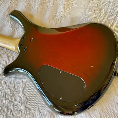 Warwick Fortress Rockbass 2006 - Cherryburst image 5