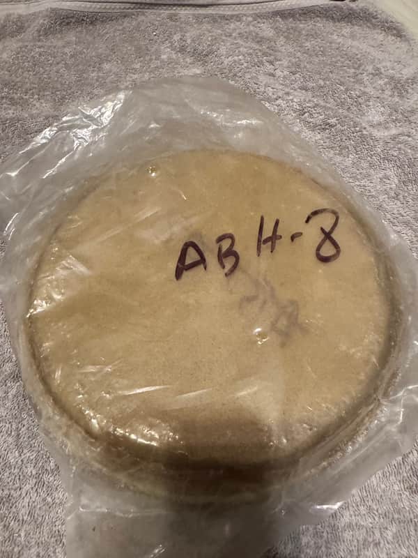 New Tropical Music - Bongo Head Replacement 8” - Natural Skin image 1