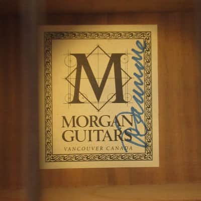 Morgan Concert Custom 2008 image 23