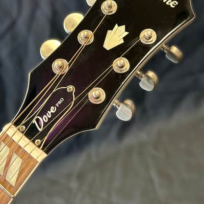 Epiphone LTD ED Dove Pro White Acoustic/Electric Guitar image 8