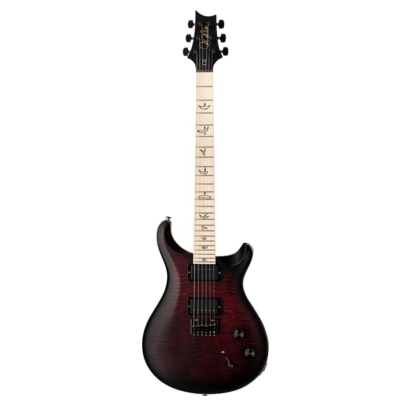 PRS Limited Edition Dustie Waring Signature DW CE 24 Hardtail image 2