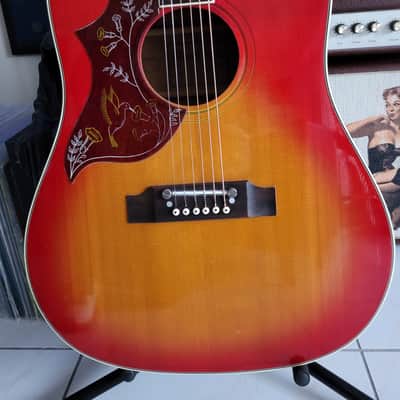 Ibanez Concord 684  1976  Sunburst left handed gaucher image 2
