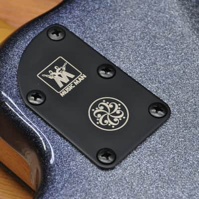 Ernie Ball Music Man DarkRay 5 - Starry Night image 18