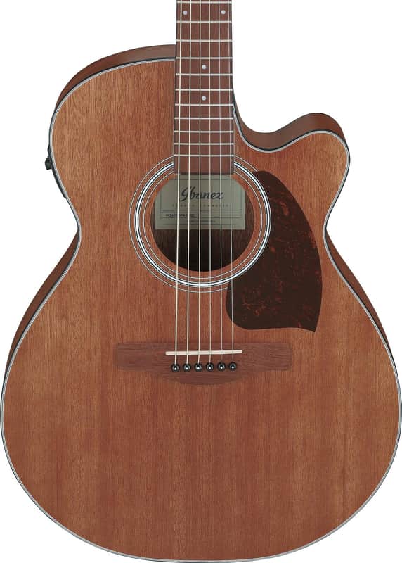 Ibanez PC54CE Acoustic-electric Guitar - Natural image 1