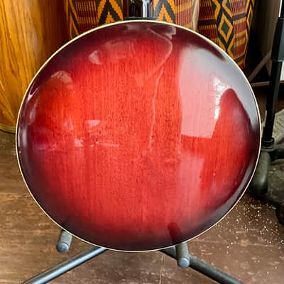 Fender 5 String Banjo with Resonator & Gig Bag image 5