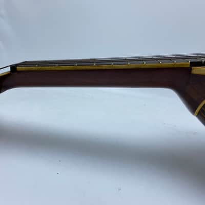 Lyon & Healy Beatle Back Mandolin Bowl Back image 5
