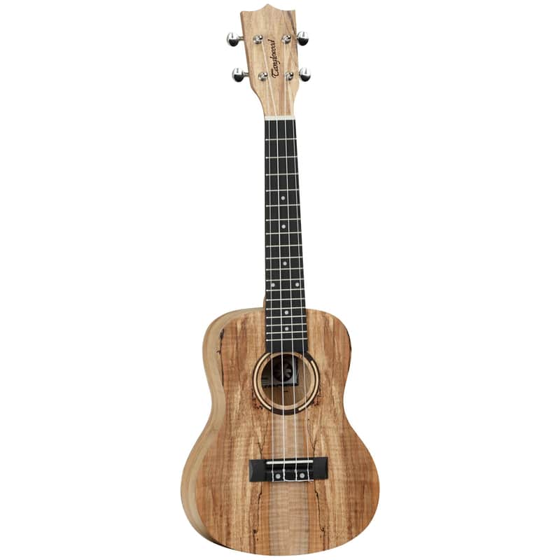Tanglewood Tiare TWT10 Spalted Maple Concert Ukulele image 1