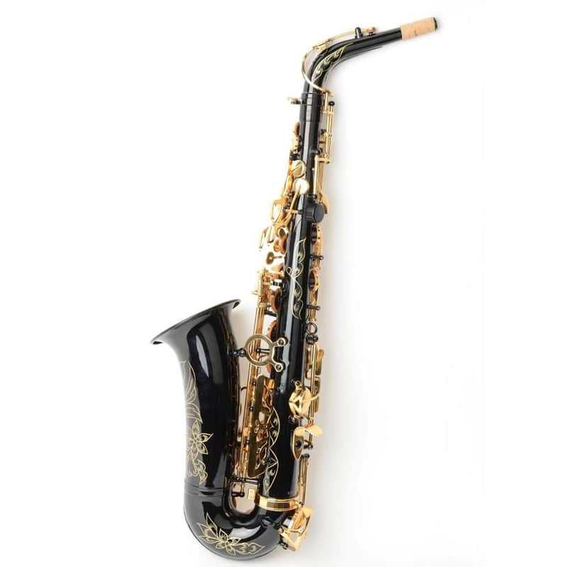 Black & Gold Alto Eb Saxophone Brass Alto Sax with Case, Tuner, Strap, Cleaning Kit & Accessories image 1