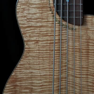 Renaissance Bass RB5 2015 image 5