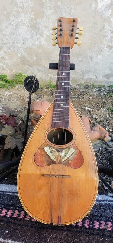 vintage unknown bowl back/Potato Bug Style Mandolin butterfly image 1