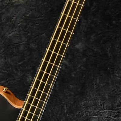 Nik Huber Rietbergen Bass w/Flame Maple Neck,Gold Hardware,Wood Knob -Worn Onyx Black- image 8
