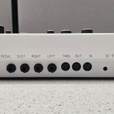 Modor NF-1 Digital DSP Synth with wood sides and rack ears image 4
