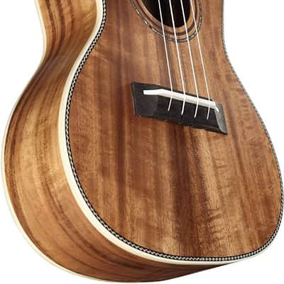 Alvarez Artist Series AU90C Concert Size Acoustic Acacia Ukulele image 5